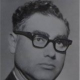 Долгопольский Л.Я. Преподаватель СВМ.